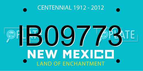 IB09773 New Mexico License Plate