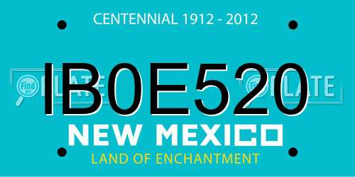 IB0E520 New Mexico License Plate