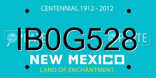 IB0G528 New Mexico License Plate