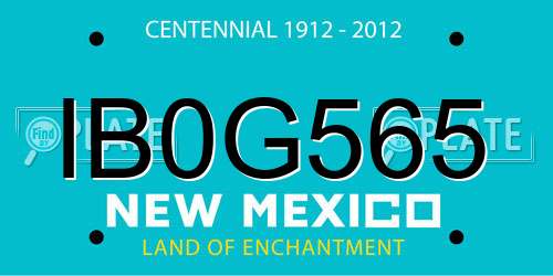 IB0G565 New Mexico License Plate