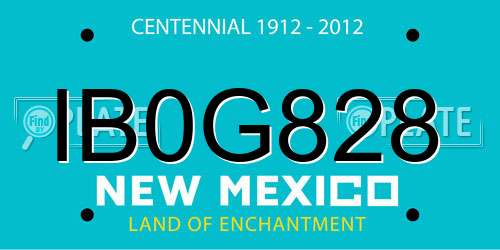 IB0G828 New Mexico License Plate