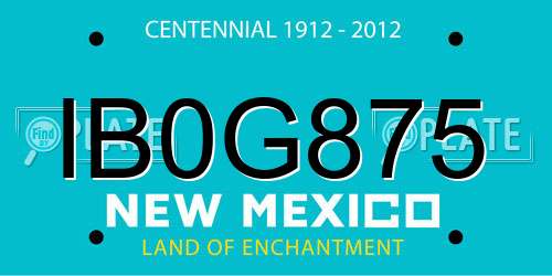 IB0G875 New Mexico License Plate