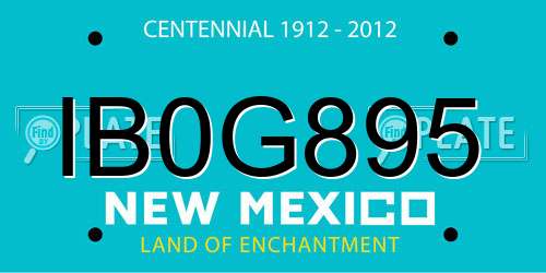 IB0G895 New Mexico License Plate