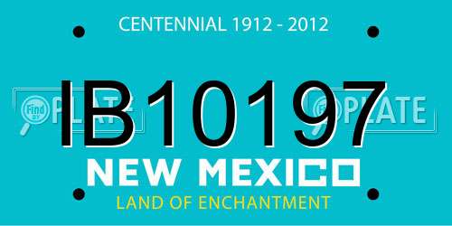 IB10197 New Mexico License Plate