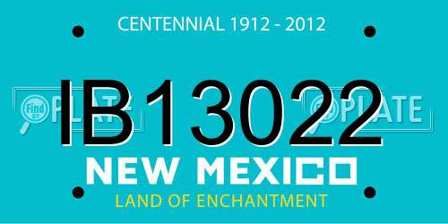 IB13022 New Mexico License Plate