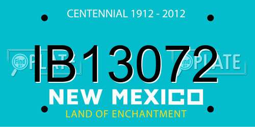 IB13072 New Mexico License Plate