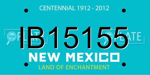 IB15155 New Mexico License Plate