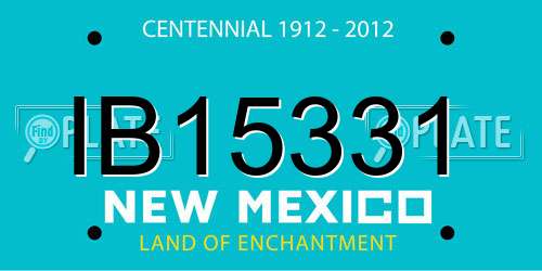 IB15331 New Mexico License Plate