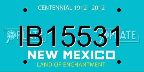 IB15531 New Mexico License Plate