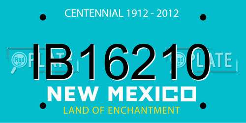 IB16210 New Mexico License Plate