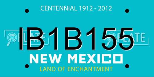 IB1B155 New Mexico License Plate