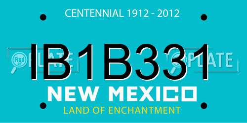 IB1B331 New Mexico License Plate