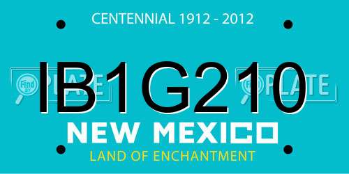 IB1G210 New Mexico License Plate