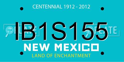 IB1S155 New Mexico License Plate