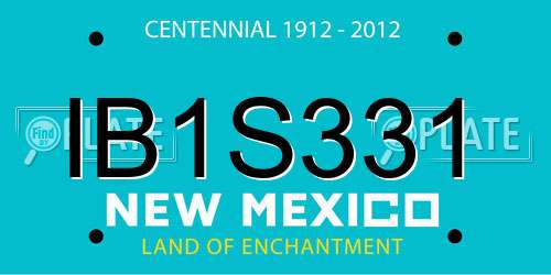 IB1S331 New Mexico License Plate
