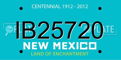 IB25720 New Mexico License Plate