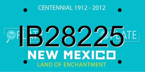 IB28225 New Mexico License Plate