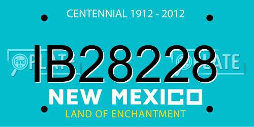 IB28228 New Mexico License Plate