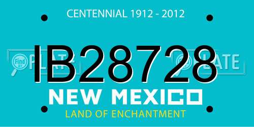 IB28728 New Mexico License Plate