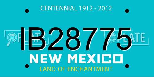 IB28775 New Mexico License Plate