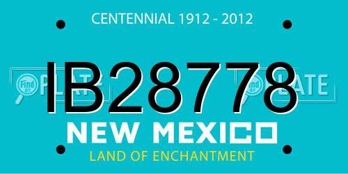 IB28778 New Mexico License Plate
