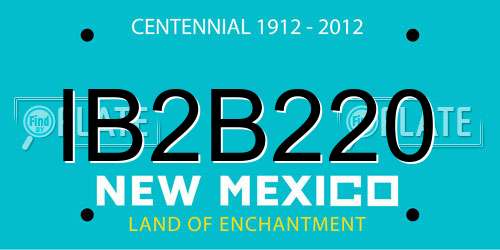 IB2B220 New Mexico License Plate