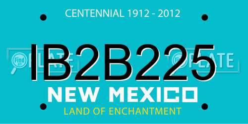 IB2B225 New Mexico License Plate