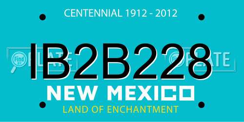 IB2B228 New Mexico License Plate