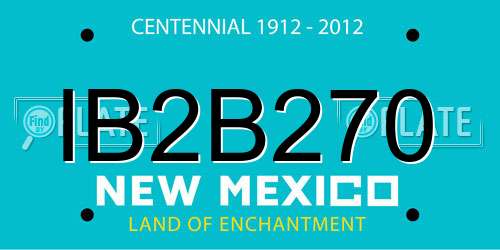 IB2B270 New Mexico License Plate