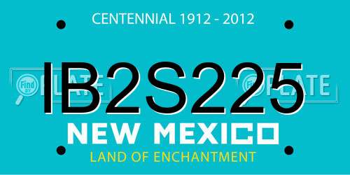 IB2S225 New Mexico License Plate