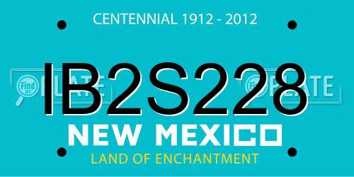 IB2S228 New Mexico License Plate