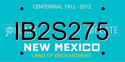 IB2S275 New Mexico License Plate