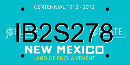 IB2S278 New Mexico License Plate