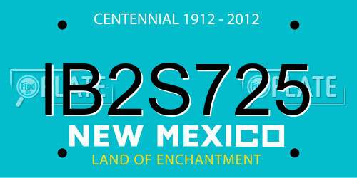 IB2S725 New Mexico License Plate