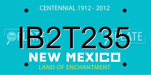 IB2T235 New Mexico License Plate