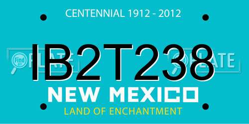 IB2T238 New Mexico License Plate