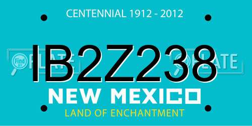 IB2Z238 New Mexico License Plate