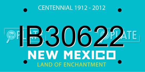 IB30622 New Mexico License Plate