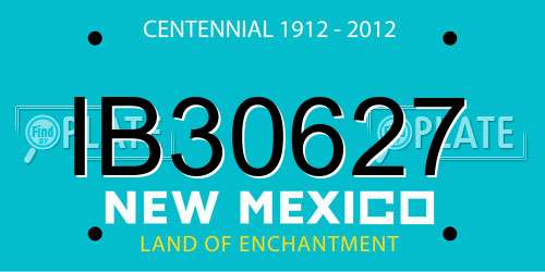 IB30627 New Mexico License Plate