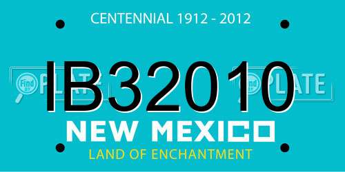 IB32010 New Mexico License Plate