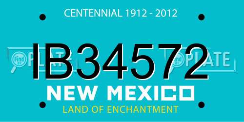 IB34572 New Mexico License Plate