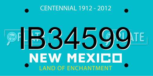 IB34599 New Mexico License Plate