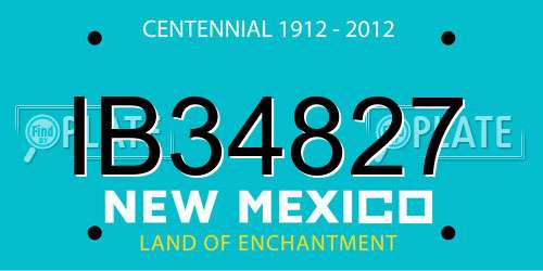 IB34827 New Mexico License Plate