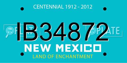 IB34872 New Mexico License Plate
