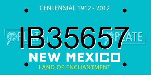 IB35657 New Mexico License Plate