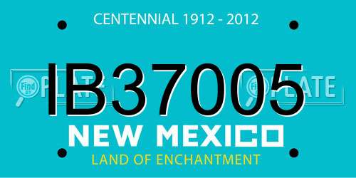IB37005 New Mexico License Plate