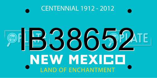 IB38652 New Mexico License Plate