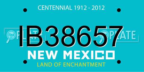 IB38657 New Mexico License Plate