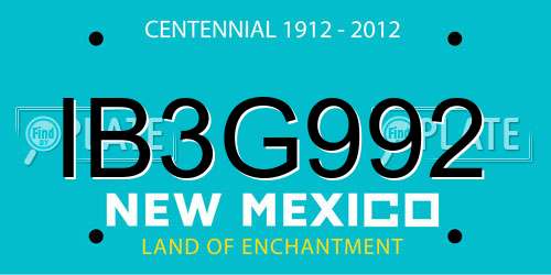IB3G992 New Mexico License Plate