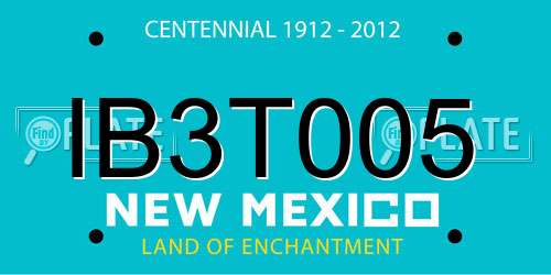 IB3T005 New Mexico License Plate